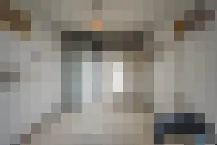 Lauwere 102 Uden thumbnail 21