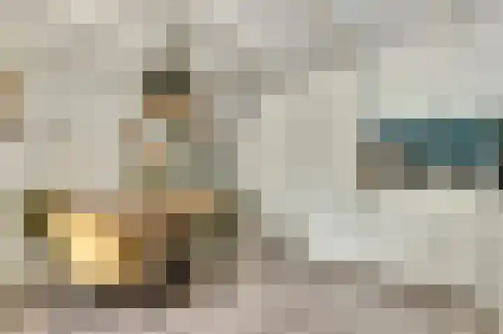 Lauwere 102 Uden thumbnail 22