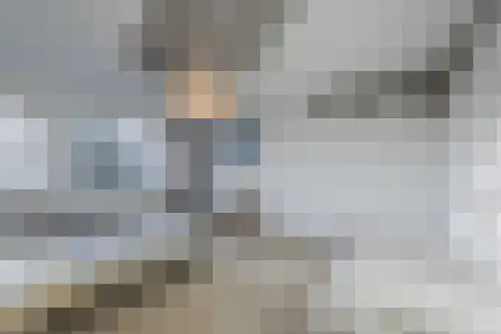 Lauwere 102 Uden thumbnail 22