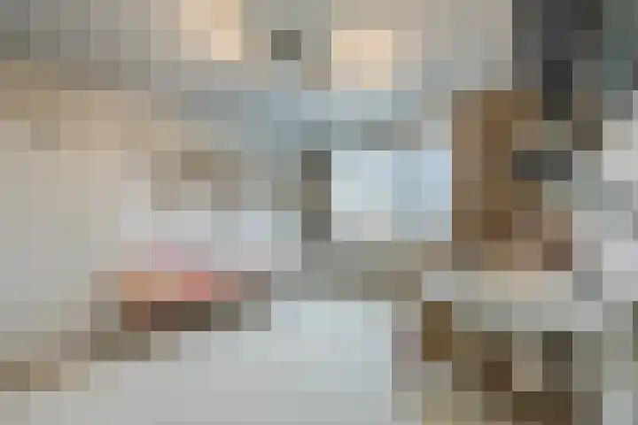 Lauwere 102 Uden thumbnail 24