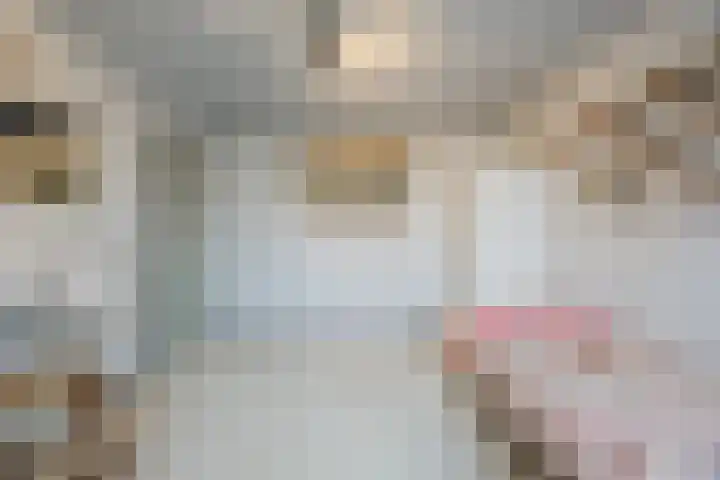 Lauwere 102 Uden thumbnail 25
