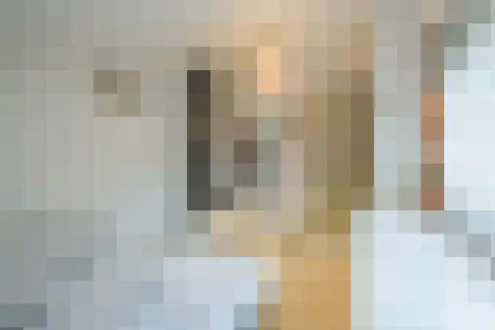 Lauwere 102 Uden thumbnail 27