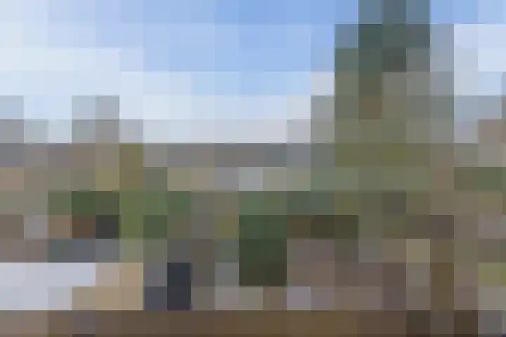 Lauwere 102 Uden thumbnail 31
