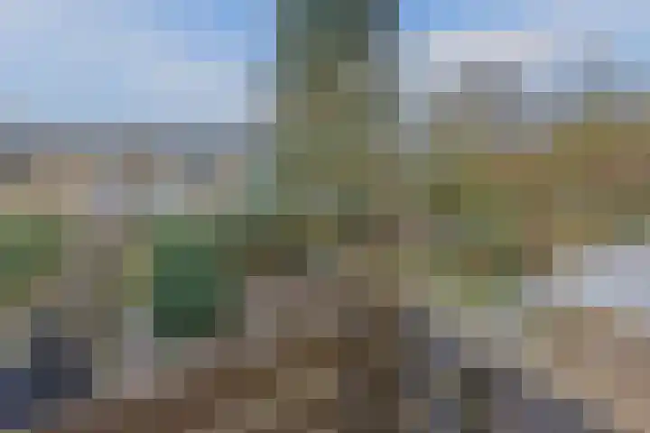 Lauwere 102 Uden thumbnail 32