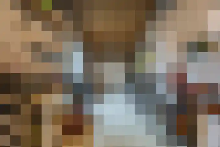 Lauwere 102 Uden thumbnail 33