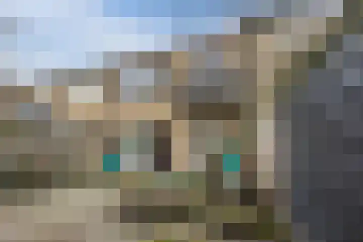 Lauwere 102 Uden thumbnail 36