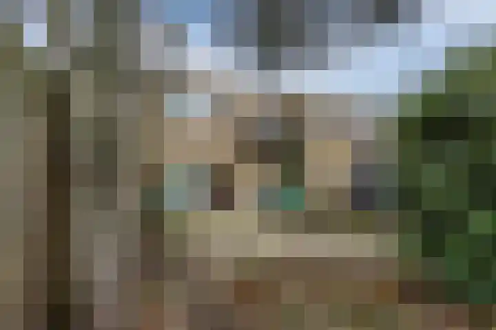 Lauwere 102 Uden thumbnail 37