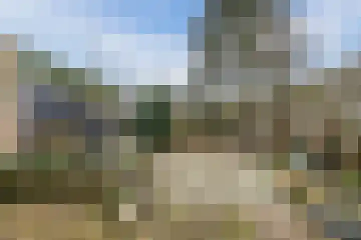 Lauwere 102 Uden thumbnail 38