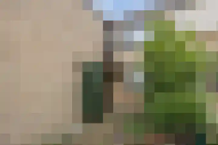 Lauwere 102 Uden thumbnail 4