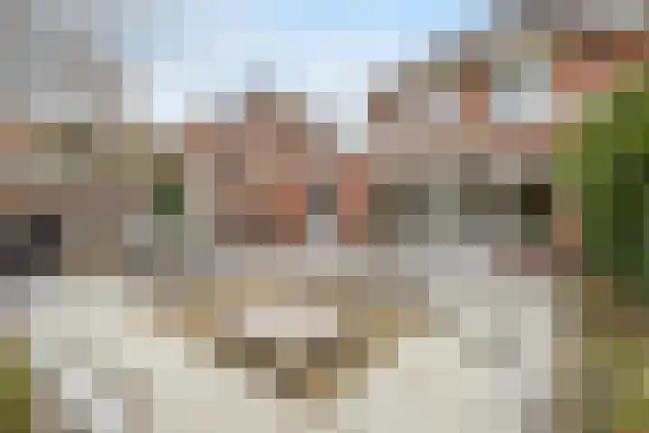 Lauwere 102 Uden thumbnail 41