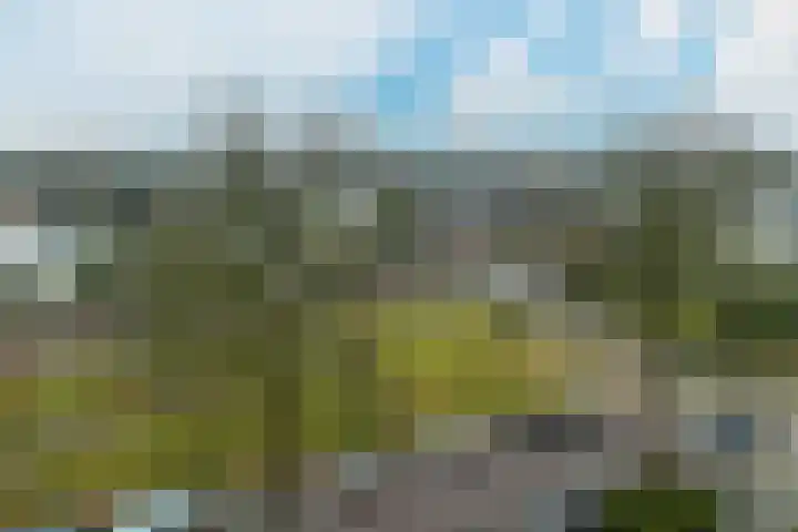 Lauwere 102 Uden thumbnail 8