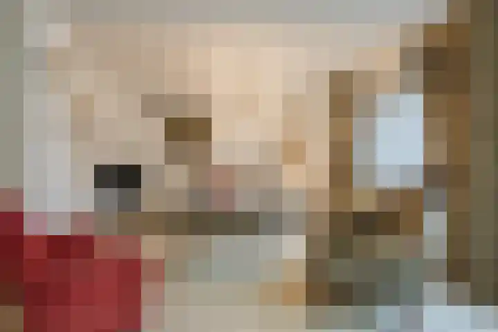 Lauwere 102 Uden thumbnail 8