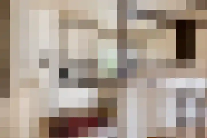Lauwere 319 Uden thumbnail 13