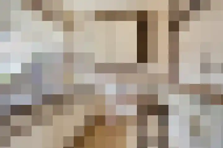 Lauwere 319 Uden thumbnail 14