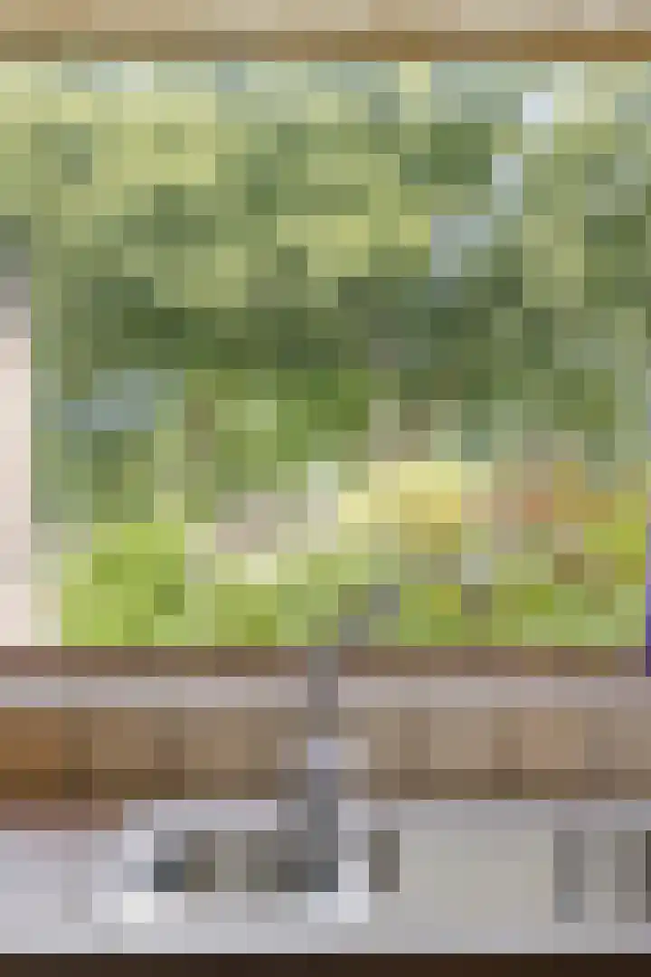 Lauwere 319 Uden thumbnail 15