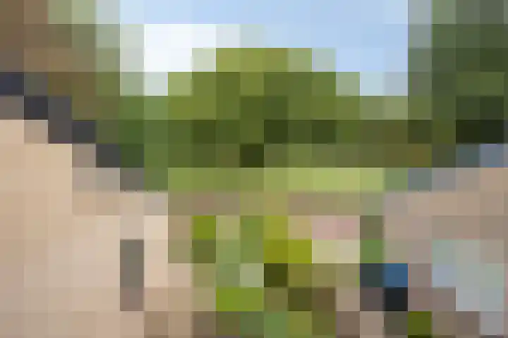 Lauwere 319 Uden thumbnail 19