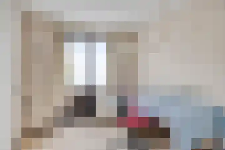 Lauwere 319 Uden thumbnail 24