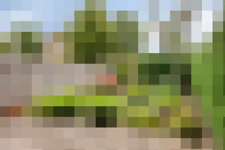 Lauwere 319 Uden thumbnail 29