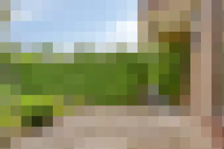 Lauwere 319 Uden thumbnail 30