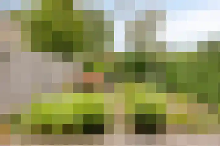 Lauwere 319 Uden thumbnail 31