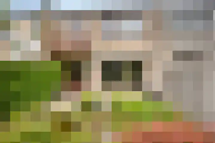 Lauwere 319 Uden thumbnail 32