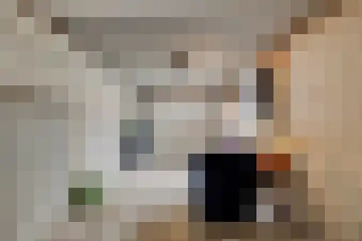 Lauwere 319 Uden thumbnail 33