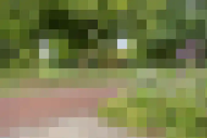 Lauwere 319 Uden thumbnail 37