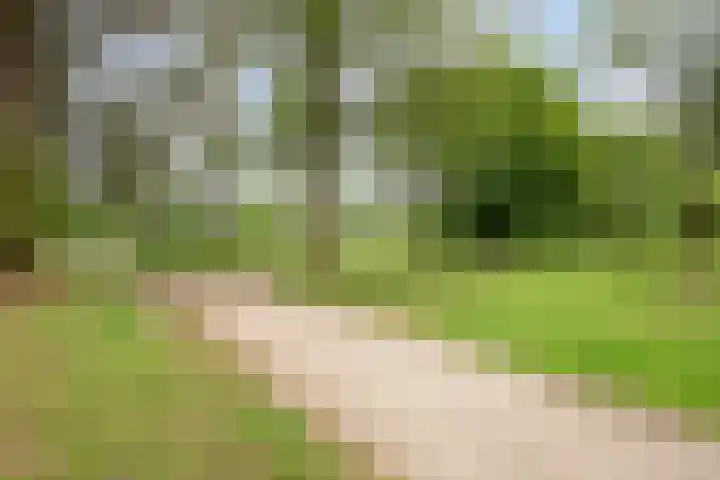 Lauwere 319 Uden thumbnail 38