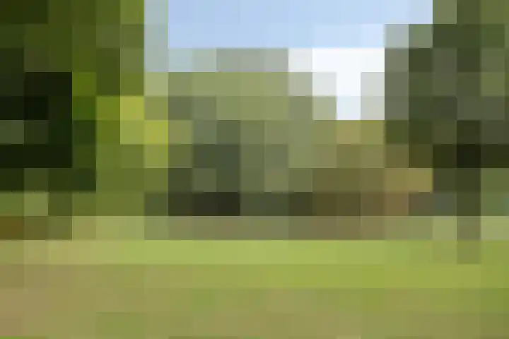 Lauwere 319 Uden thumbnail 39