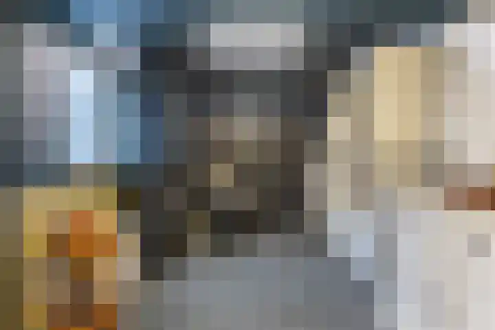 Lauwere 609 Uden thumbnail 14