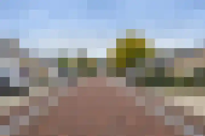 Lauwere 609 Uden thumbnail 32