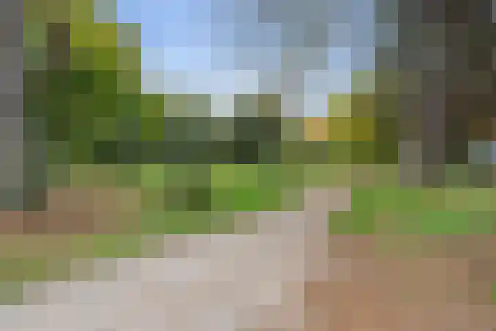 Lauwere 609 Uden thumbnail 34
