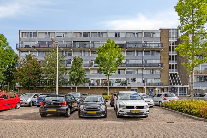 Lauwers 136 in Alphen aan den Rijn foto