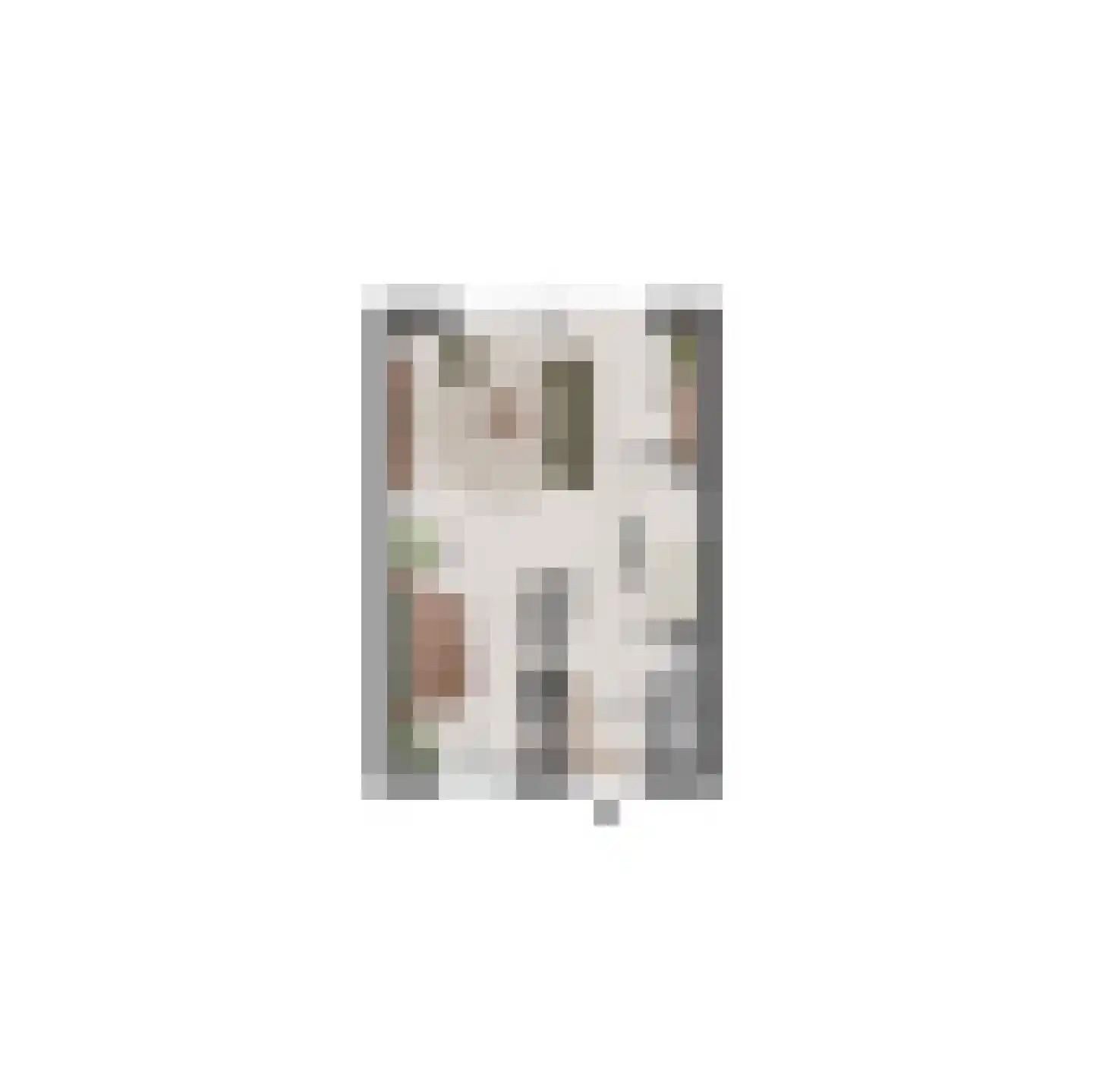 Lauwerstraat 5 Helmond thumbnail 11