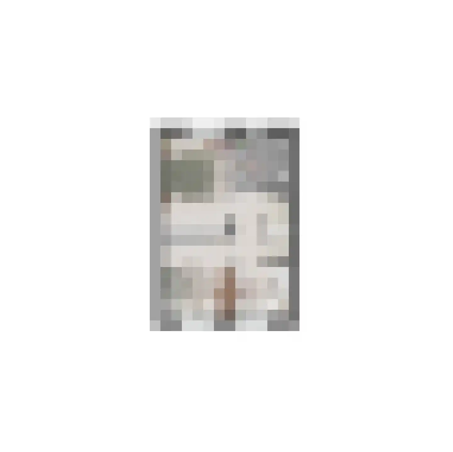 Lauwerstraat 5 Helmond thumbnail 12