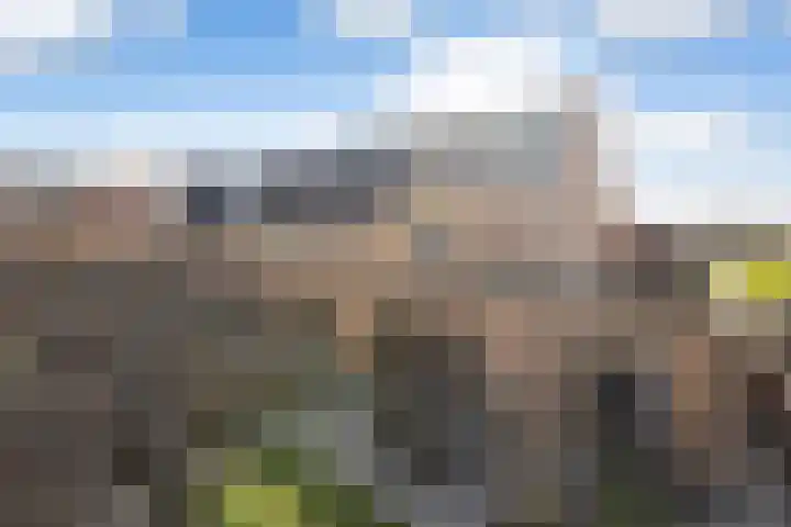 Lavas 11 Numansdorp thumbnail 45