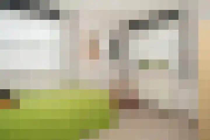 Lavei 6 Epe thumbnail 18