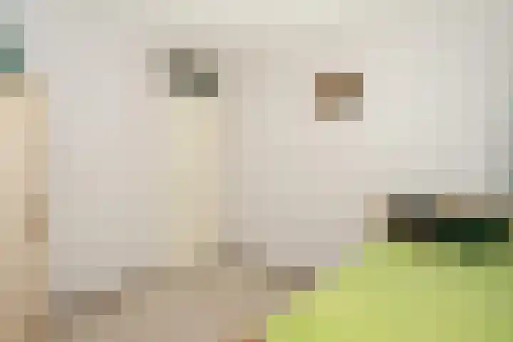 Lavei 6 Epe thumbnail 19