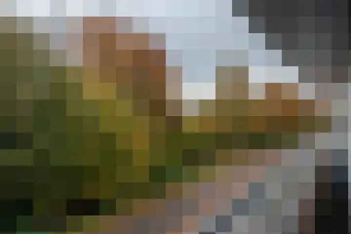 Lavei 6 Epe thumbnail 28