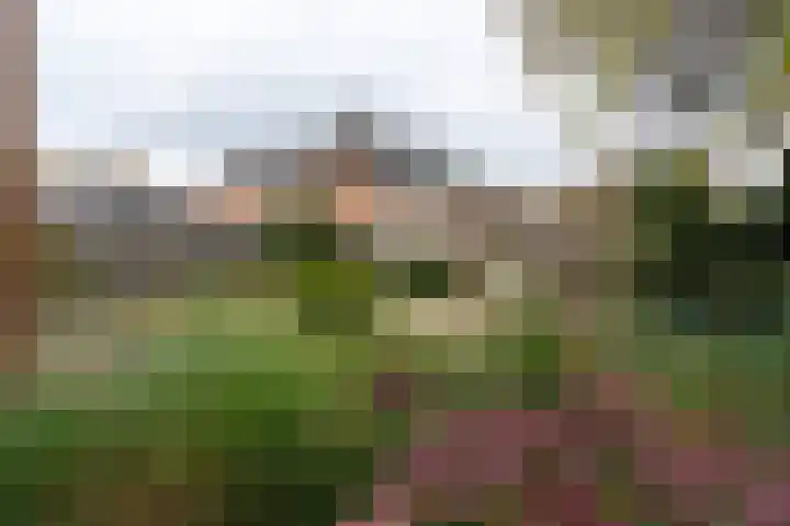 Lavei 6 Epe thumbnail 29