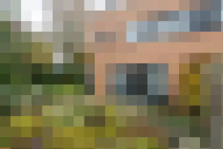 Lavei 6 Epe thumbnail 31