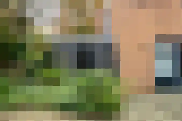 Lavei 6 Epe thumbnail 32