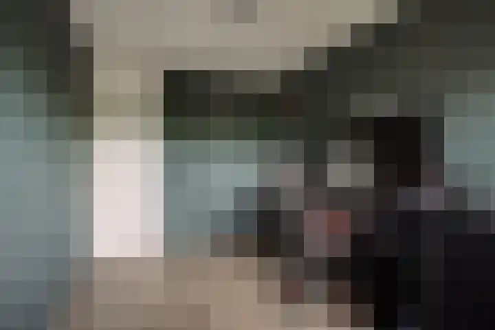Laveibos 157 Zoetermeer thumbnail 25