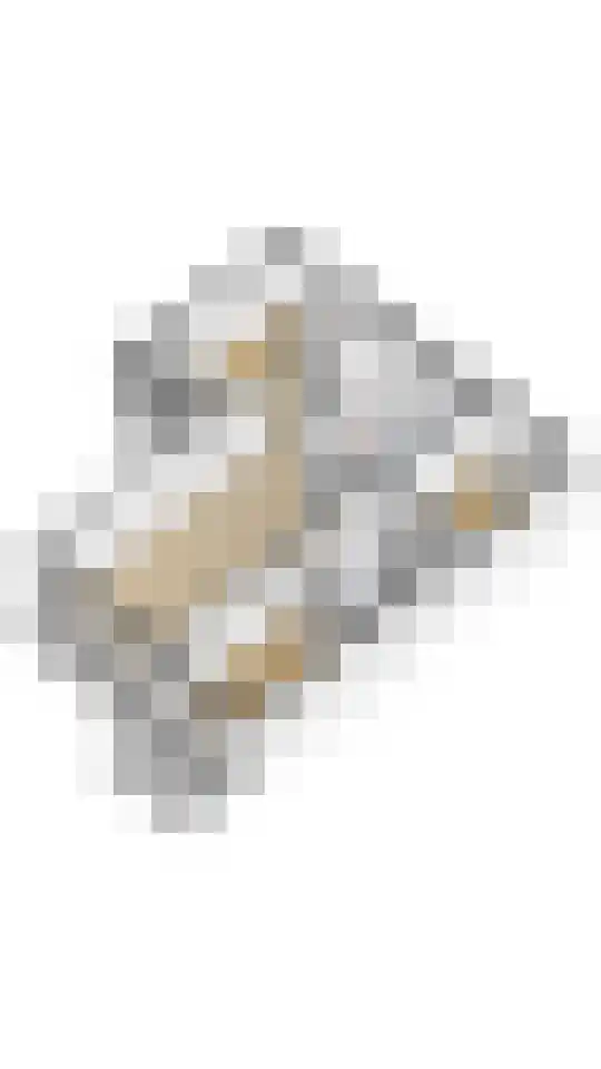 Laveibos 157 Zoetermeer thumbnail 34