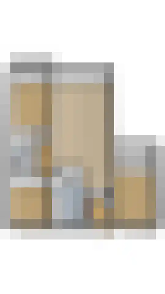 Laveibos 157 Zoetermeer thumbnail 35