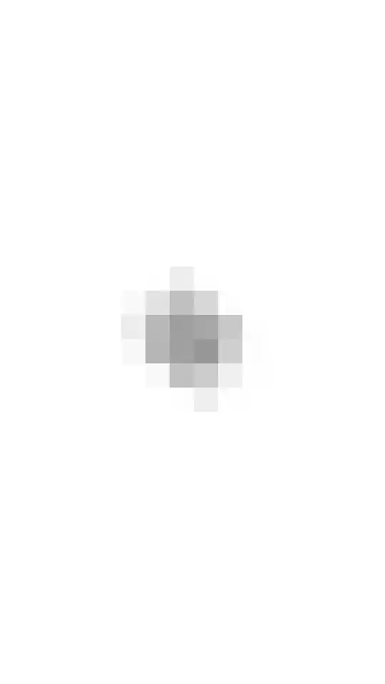 Laveibos 157 Zoetermeer thumbnail 37