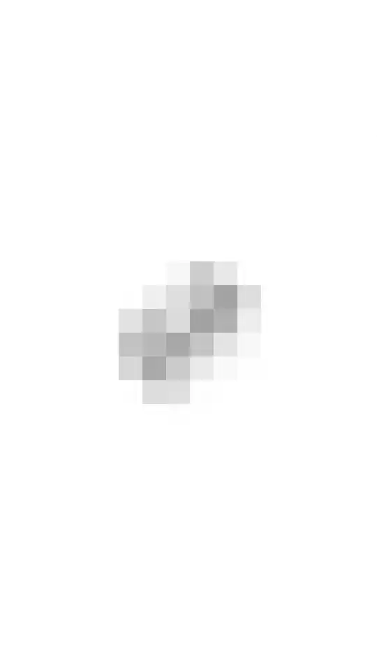 Laveibos 157 Zoetermeer thumbnail 38