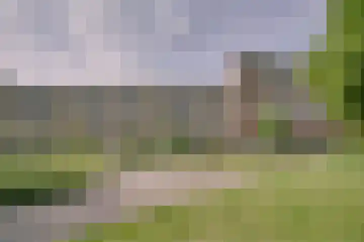 Laveibos 157 Zoetermeer thumbnail 39