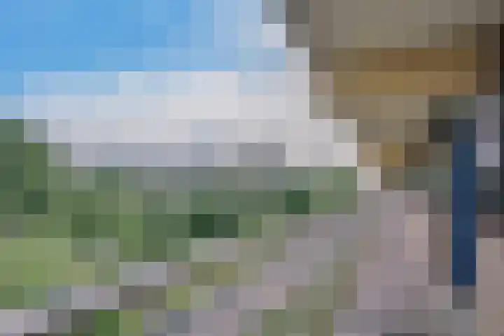 Laveibos 157 Zoetermeer thumbnail 4