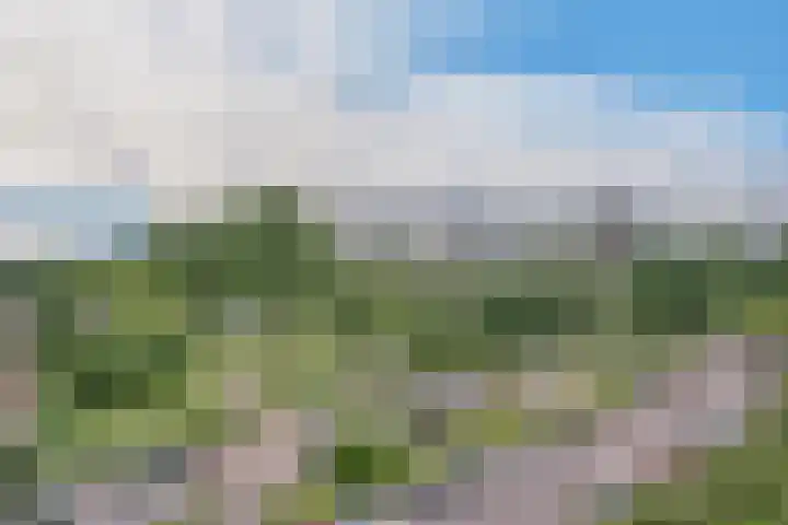 Laveibos 157 Zoetermeer thumbnail 5